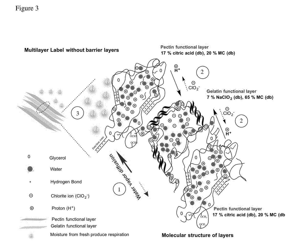 Chlorine Dioxide Gas Releasing Package Label Insert for Enhancing Microbial Safety of Food