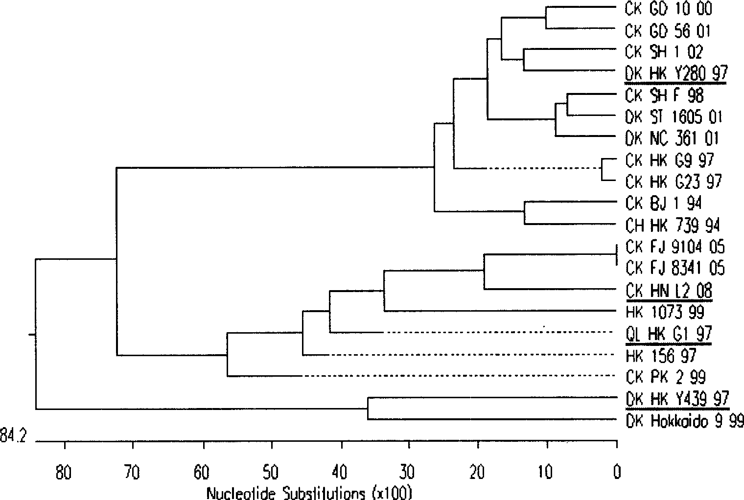 Separation identification and purification process for chicken source H9N2 avian influenza virus strain and uses thereof