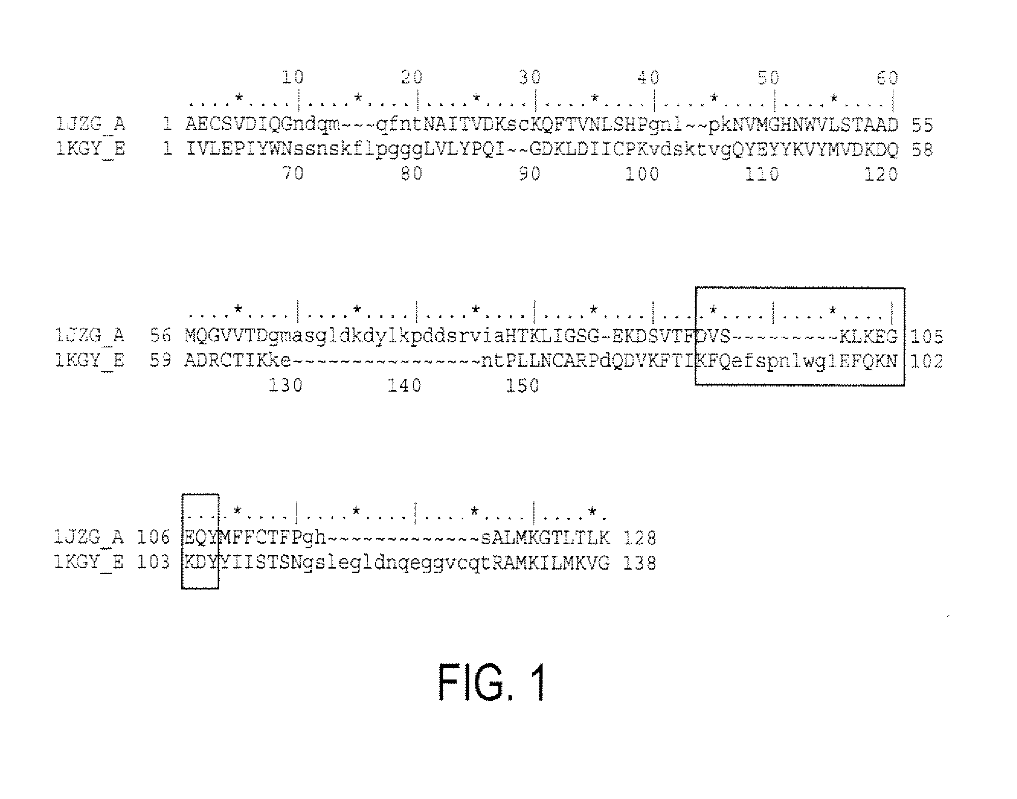 Compositions and methods for treating conditions related to ephrin signaling with cupredoxins and mutants thereof