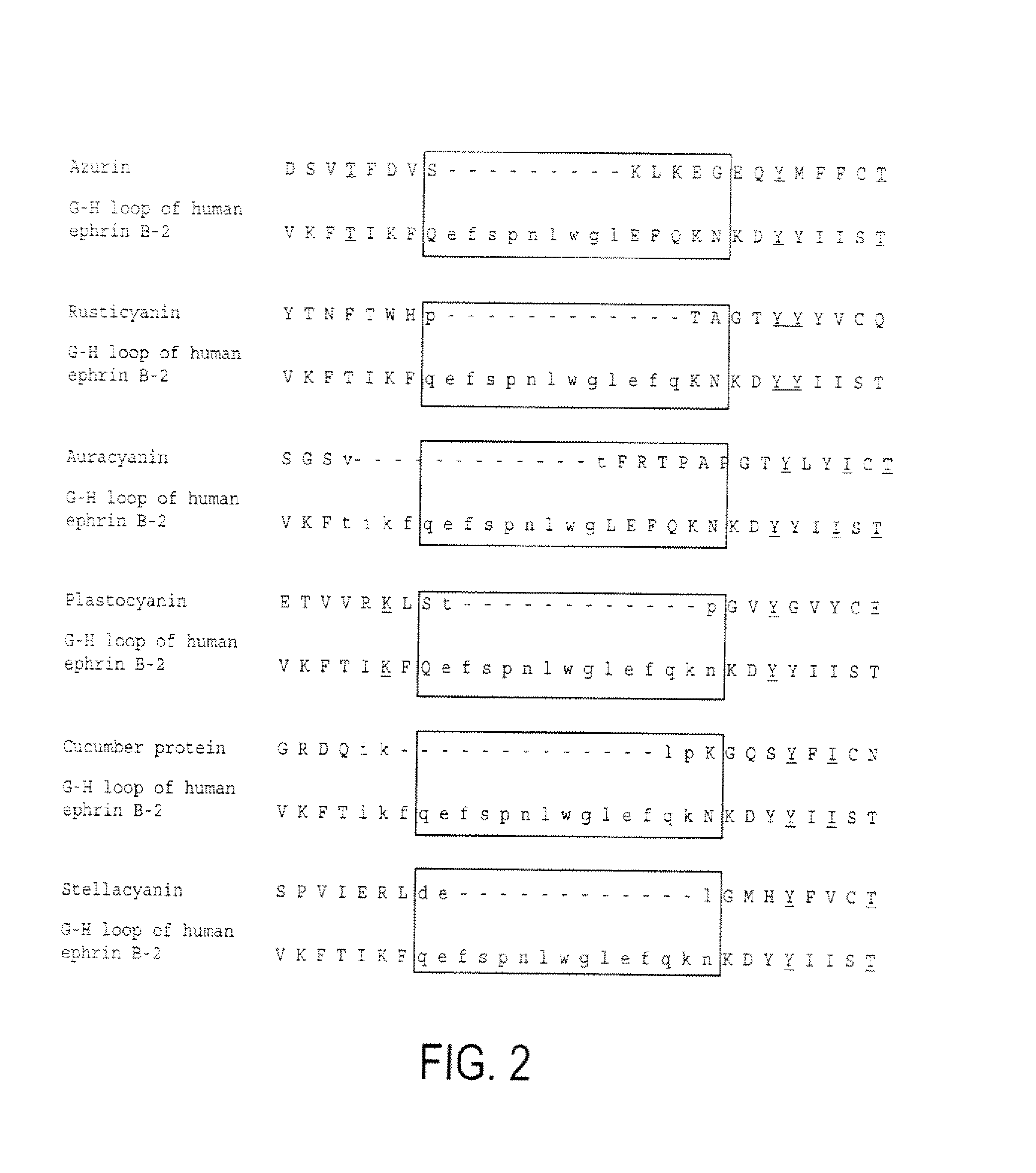 Compositions and methods for treating conditions related to ephrin signaling with cupredoxins and mutants thereof