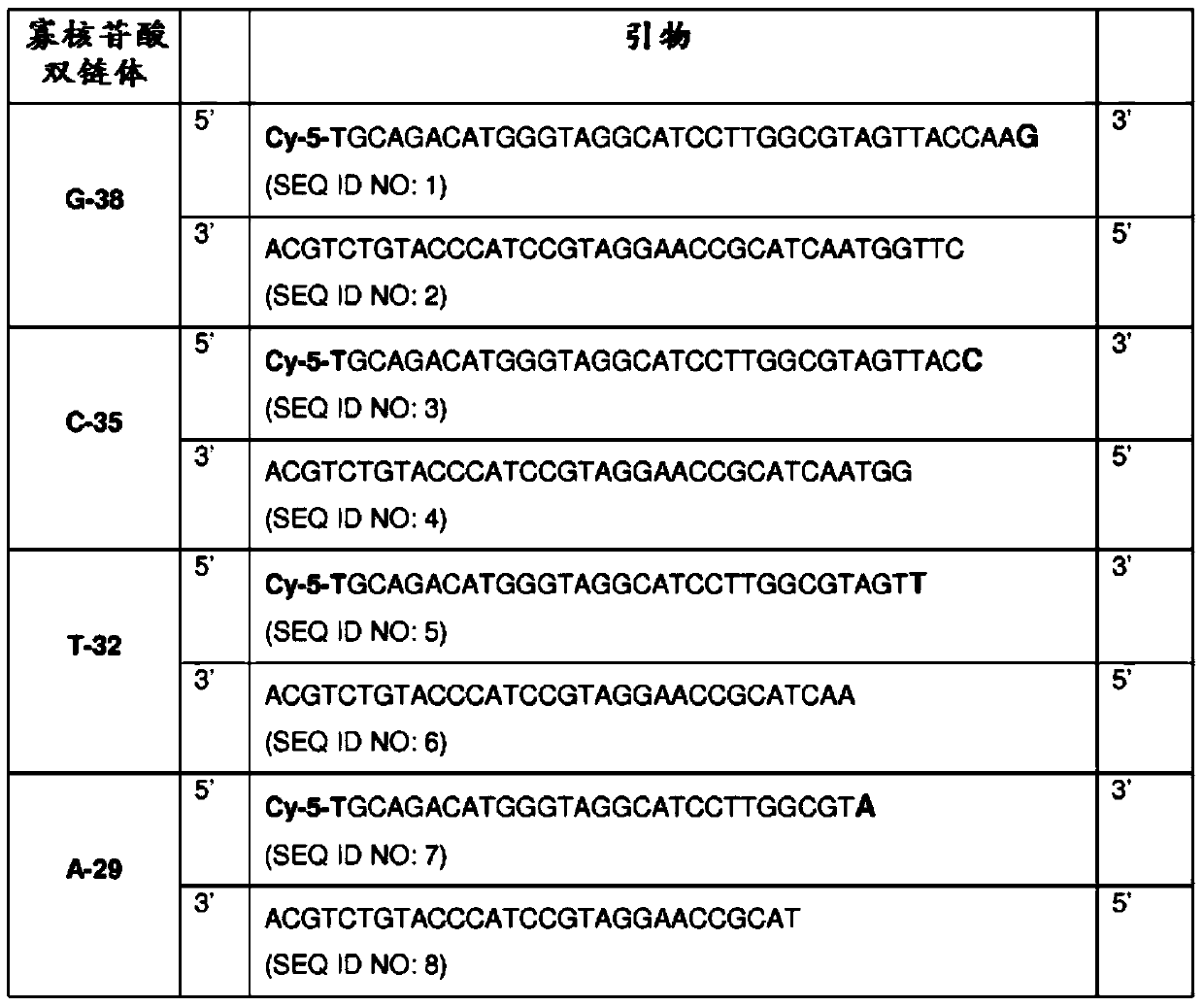 Enzyme composition for dna end repair, adenylation, phosphorylation