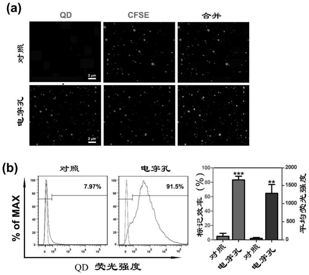 A multifunctional carrier based on cell-derived vesicles in body fluids, its preparation method and application