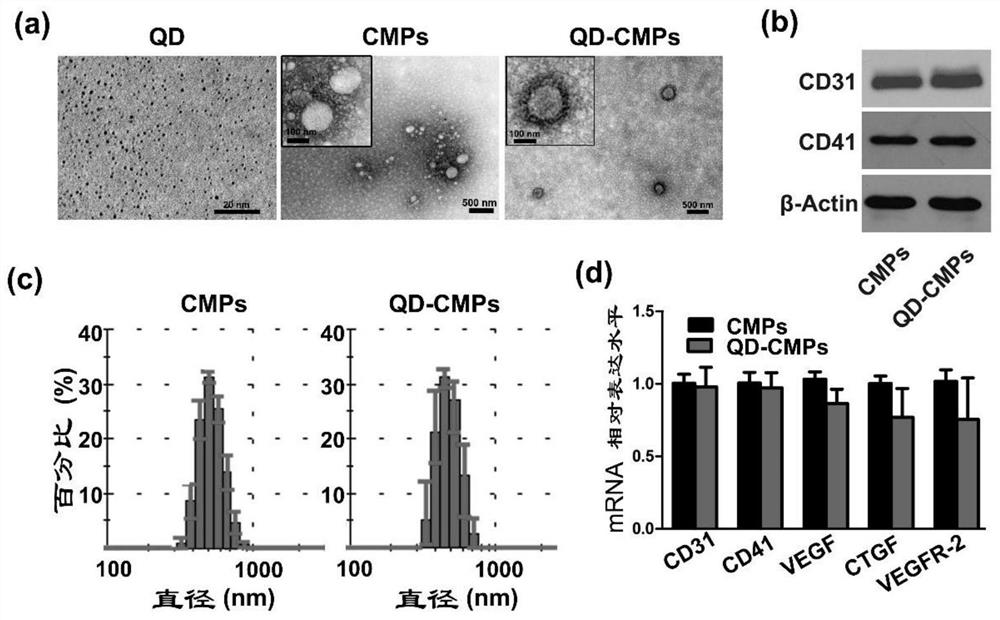 A multifunctional carrier based on cell-derived vesicles in body fluids, its preparation method and application