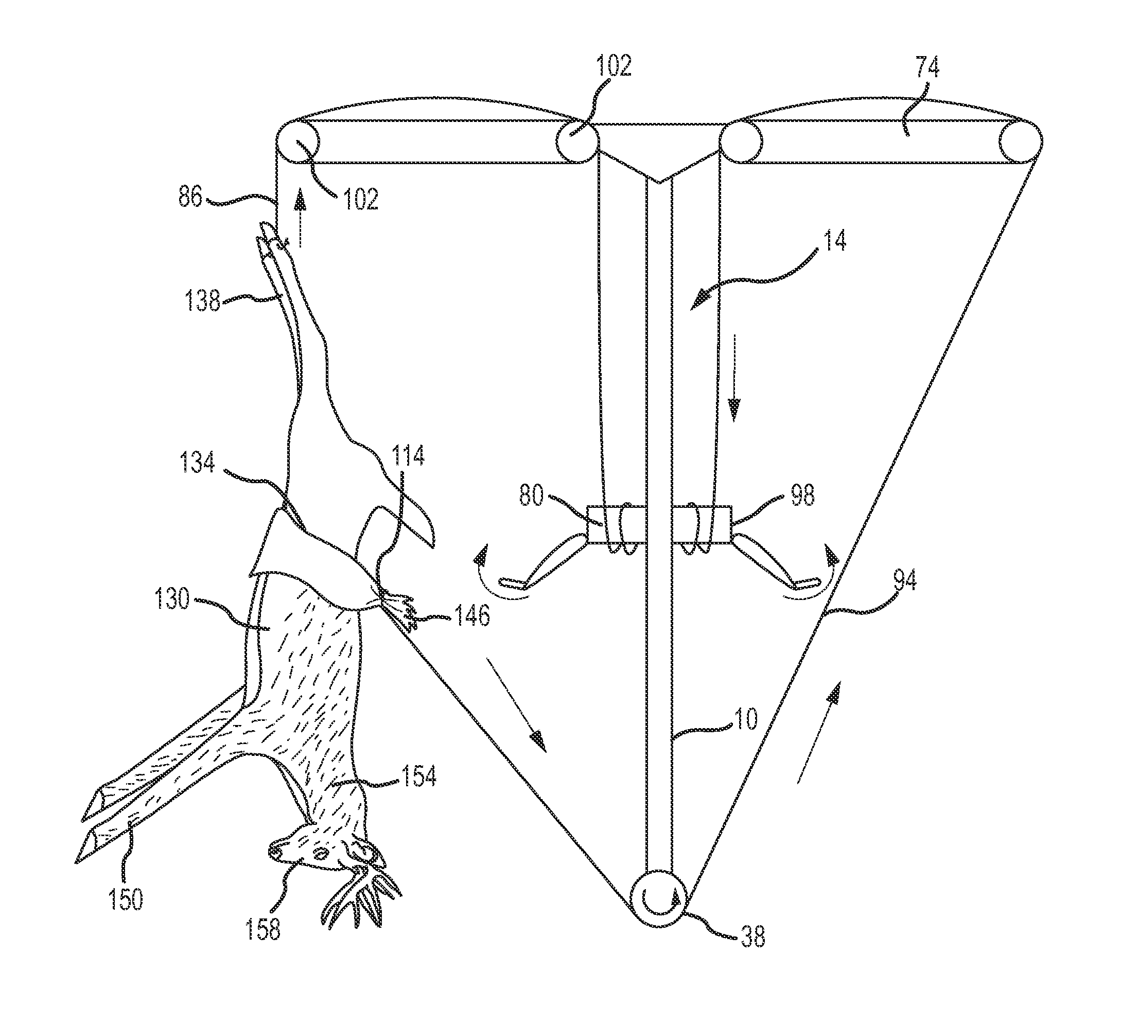 Animal Hide Removal Apparatus