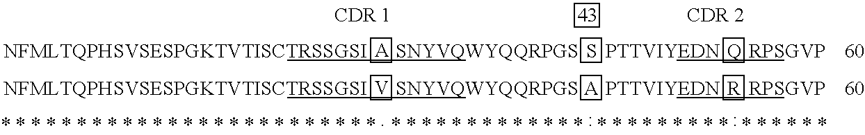 Anti-interferon gamma antibodies and methods of use thereof