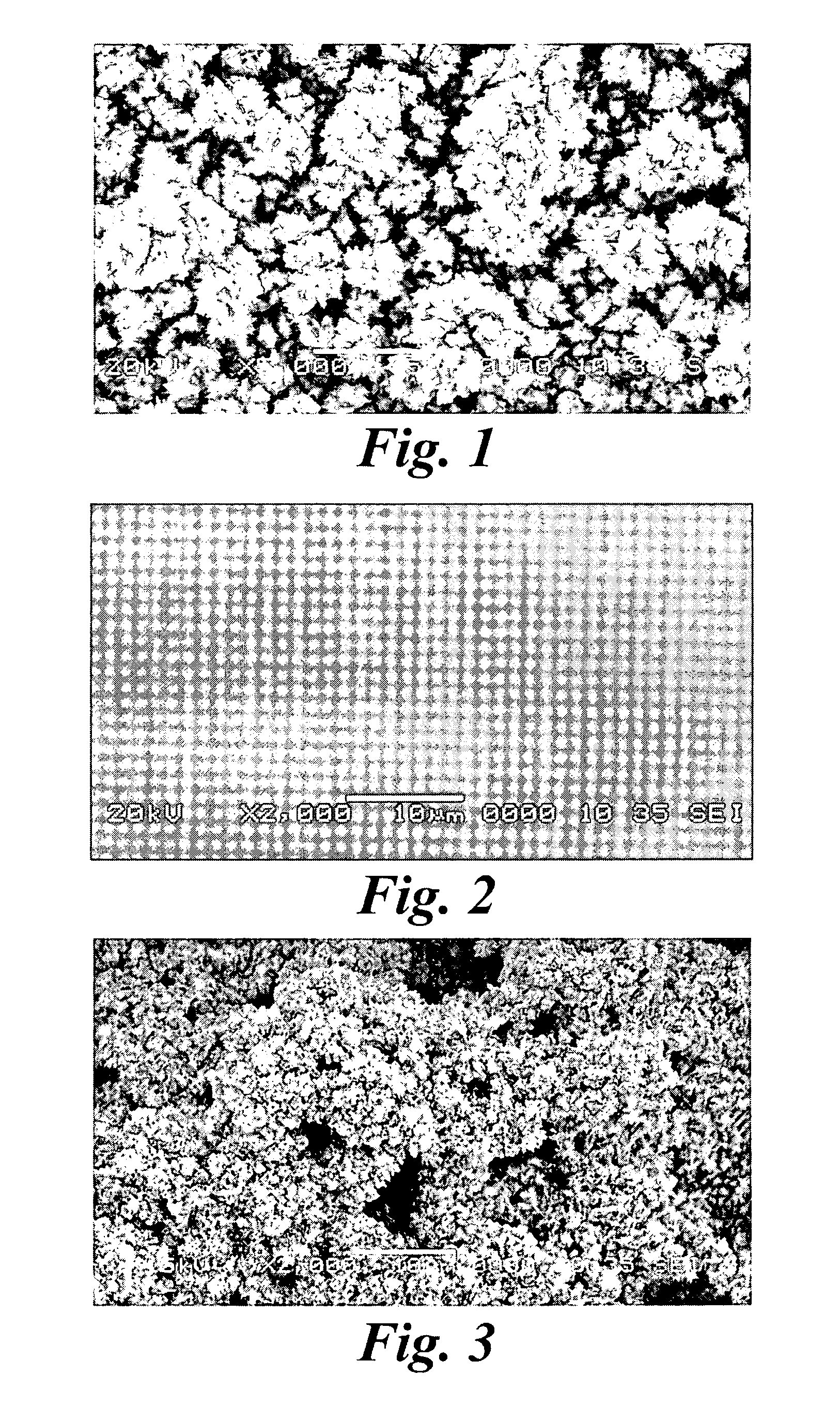 Platinum electrode surface coating and method for manufacturing the same