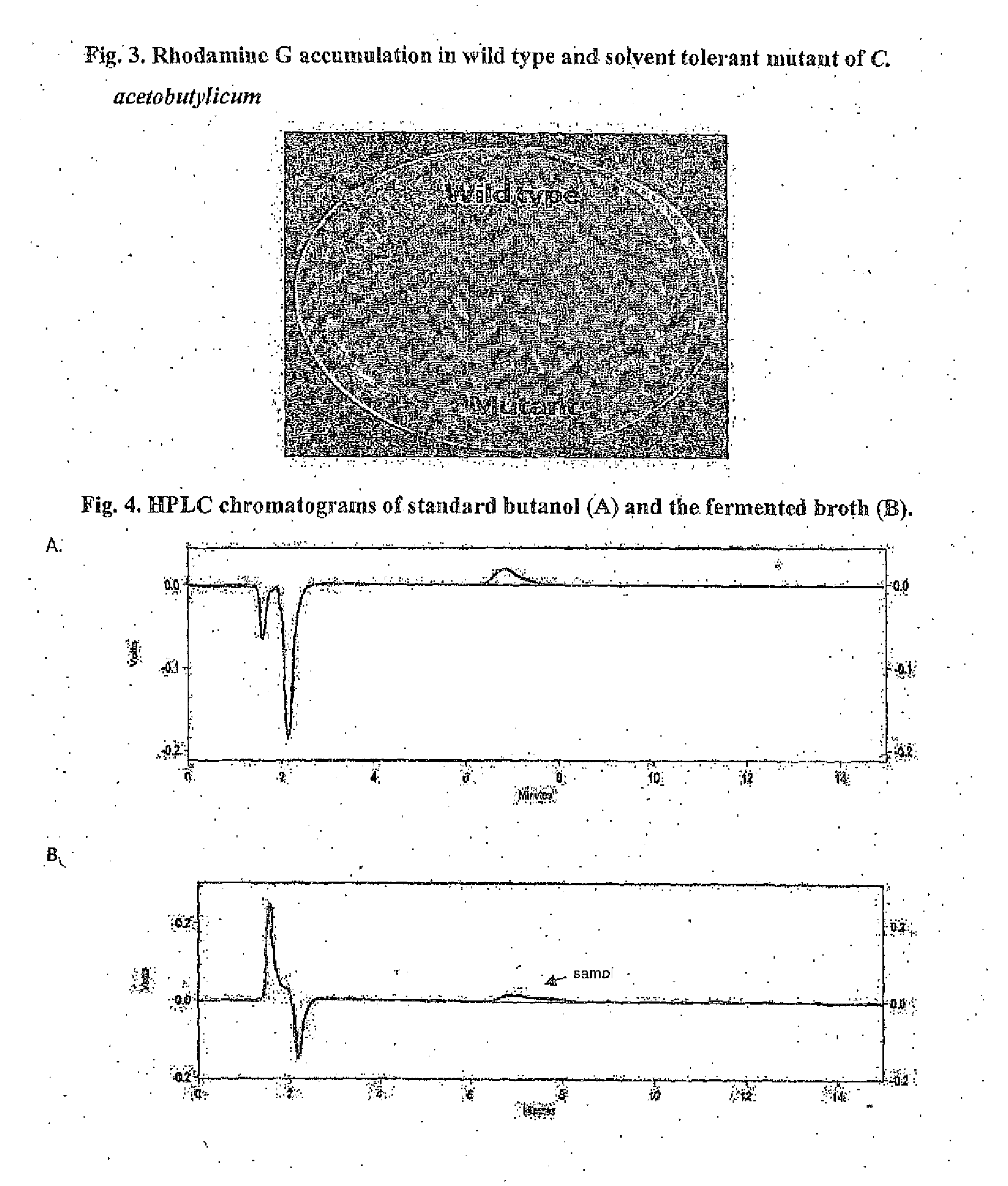 Butanol fermentation using acid pretreated biomass