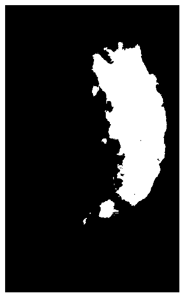 Fluorescence gold nanoparticle and preparation method thereof