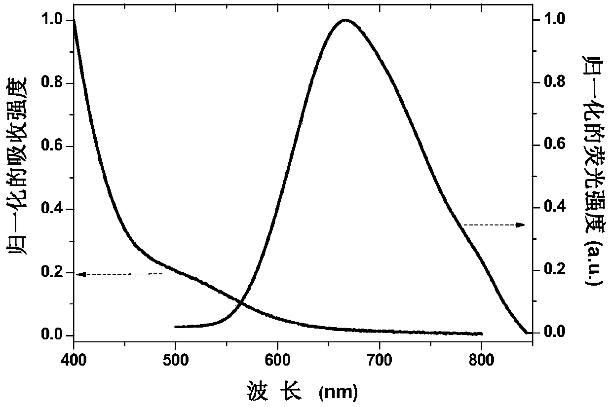 Fluorescence gold nanoparticle and preparation method thereof