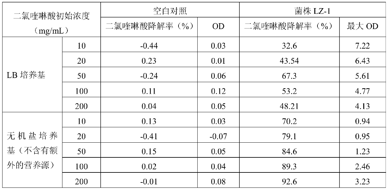 Enterobacter ludwig with quinclorac degrading function and application thereof