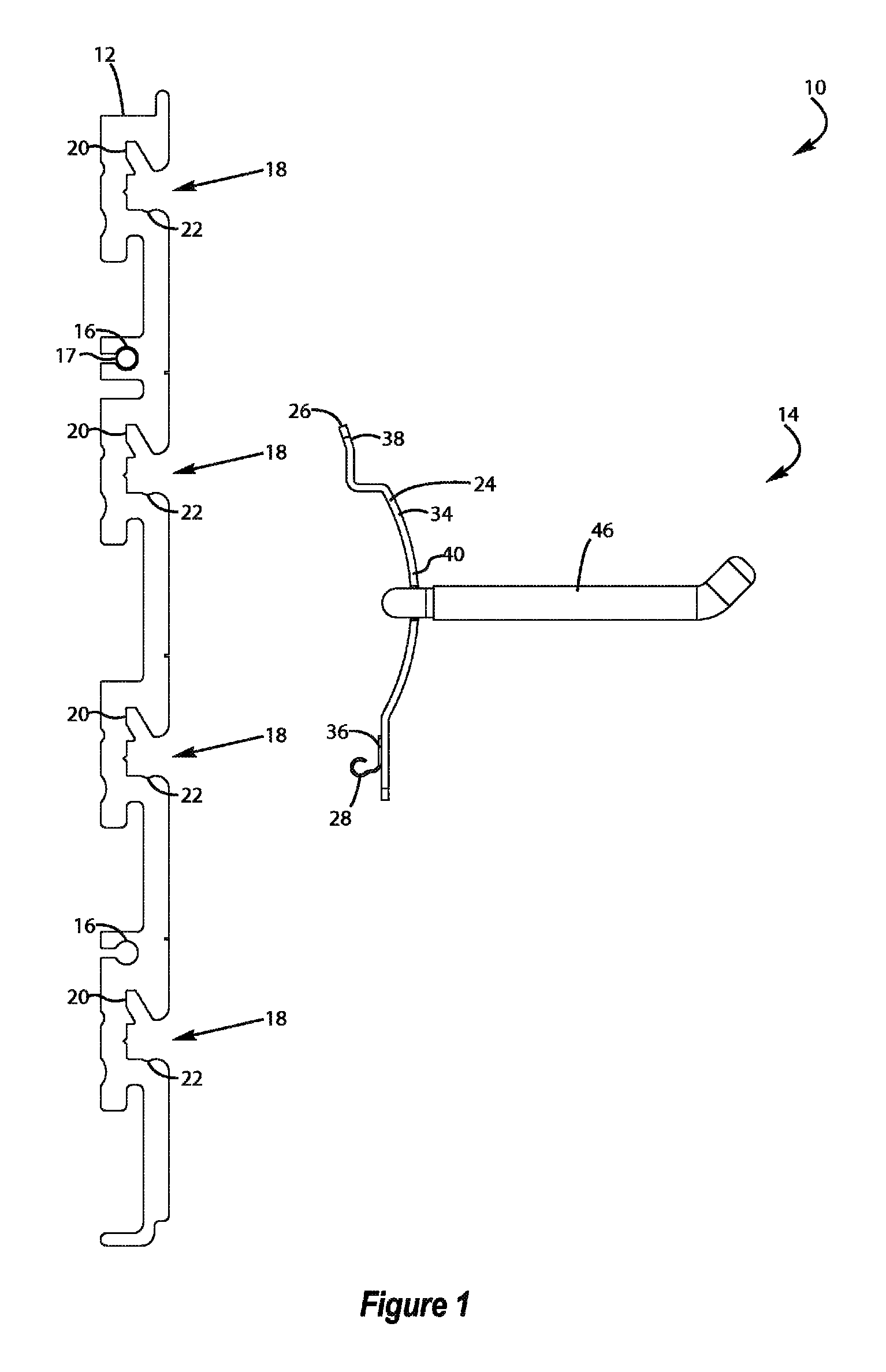 Storage and organization system