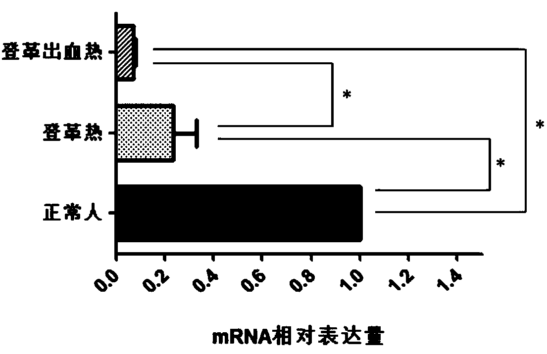 Gene ARRDC1 for diagnosing dengue fever and dengue hemorrhagic fever and application thereof