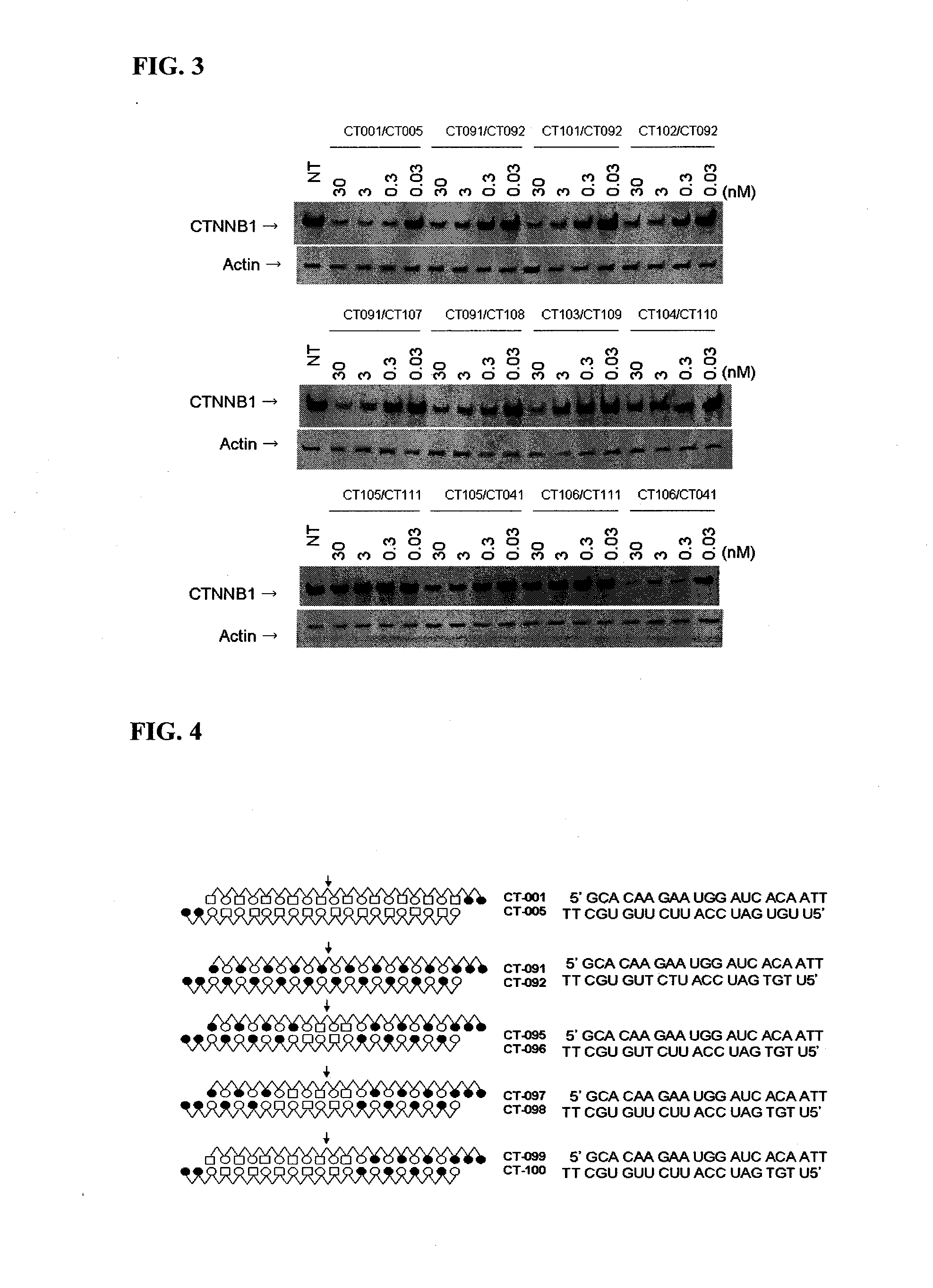 Double-stranded polynucleotide