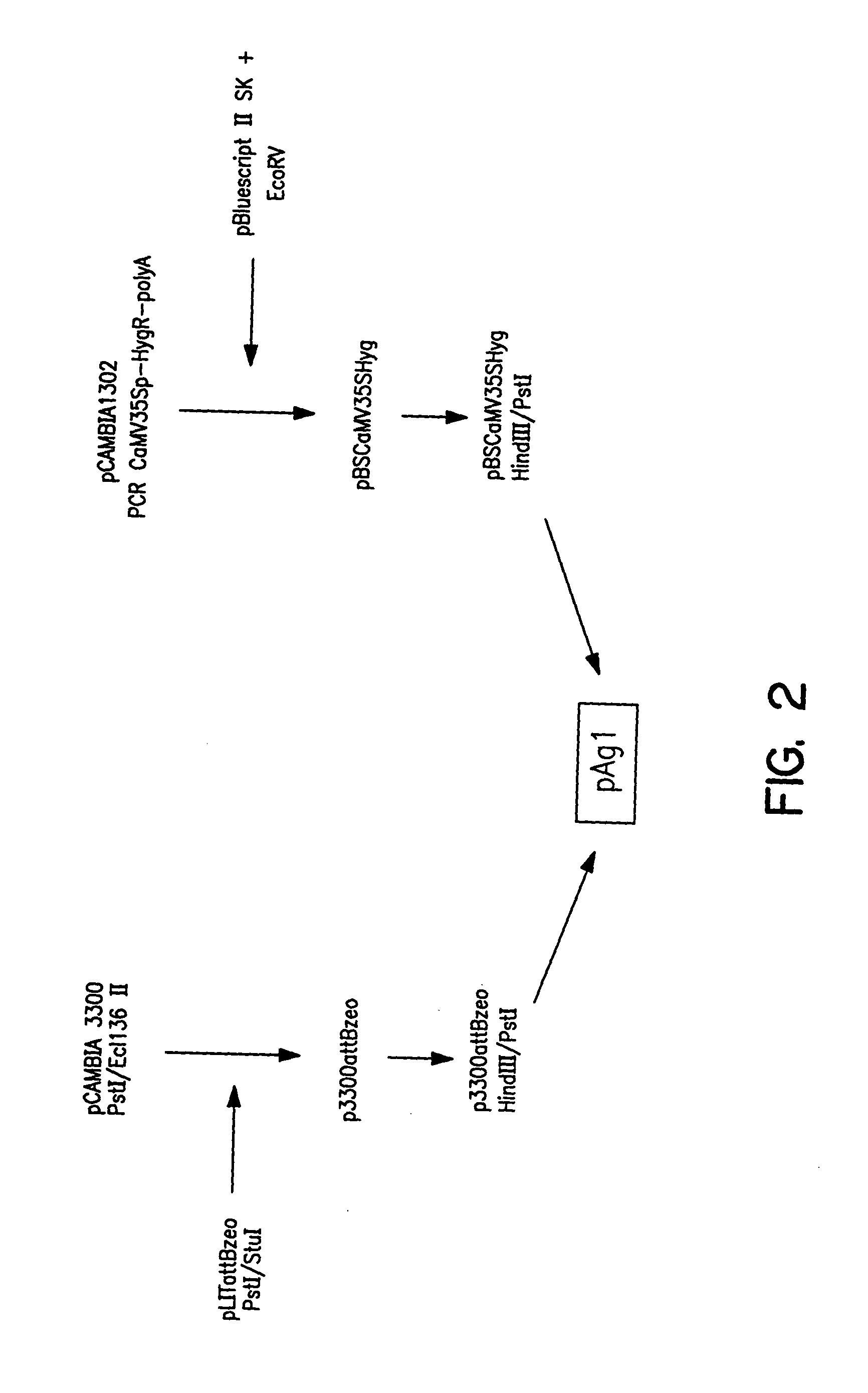 Plant artificial chromosomes, uses thereof and methods of preparing plant artificial chromosomes