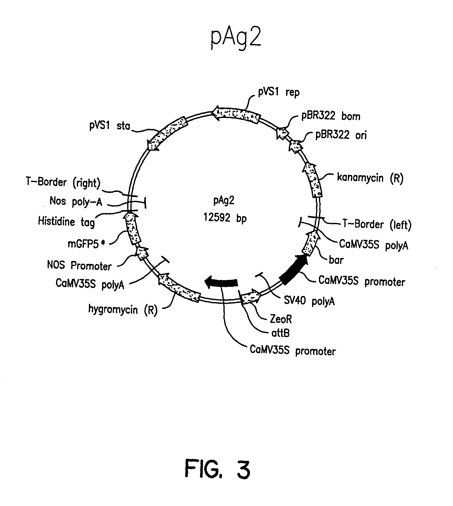 Plant artificial chromosomes, uses thereof and methods of preparing plant artificial chromosomes