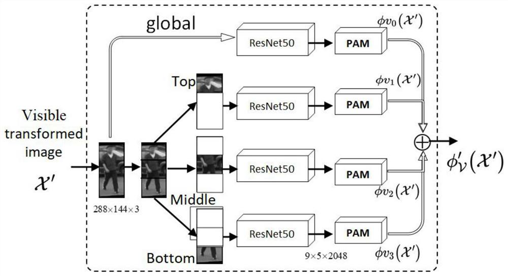 Cross-modal pedestrian re-identification method based on double-transformation alignment and blocking