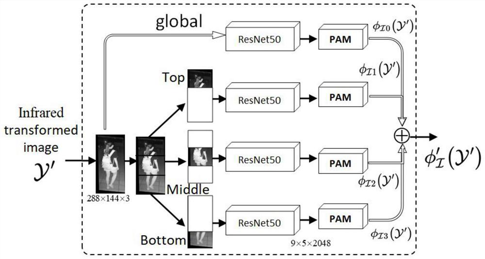 Cross-modal pedestrian re-identification method based on double-transformation alignment and blocking