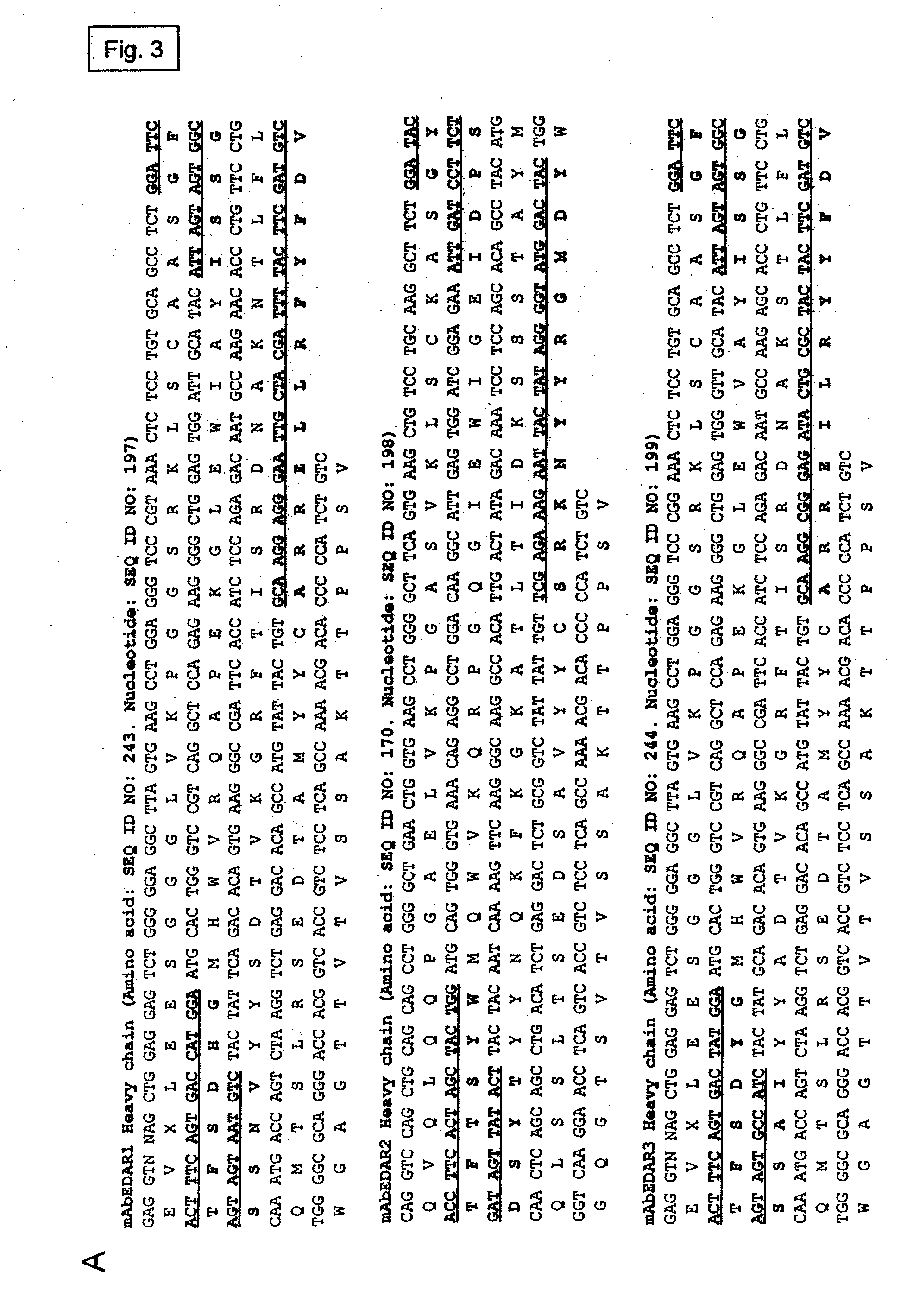 Preparation of isolated agonist Anti-edar monoclonal antibodies