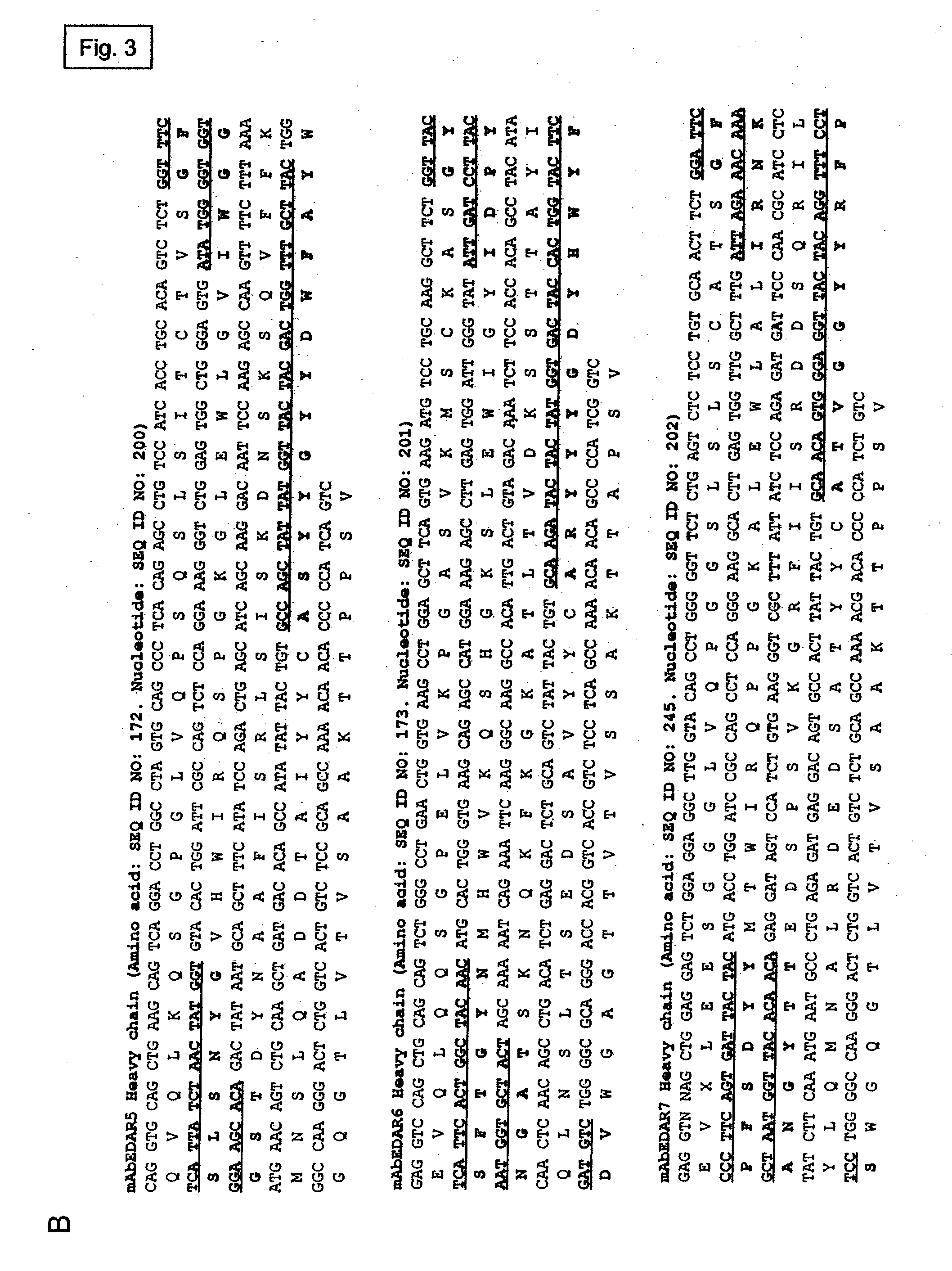 Preparation of isolated agonist Anti-edar monoclonal antibodies