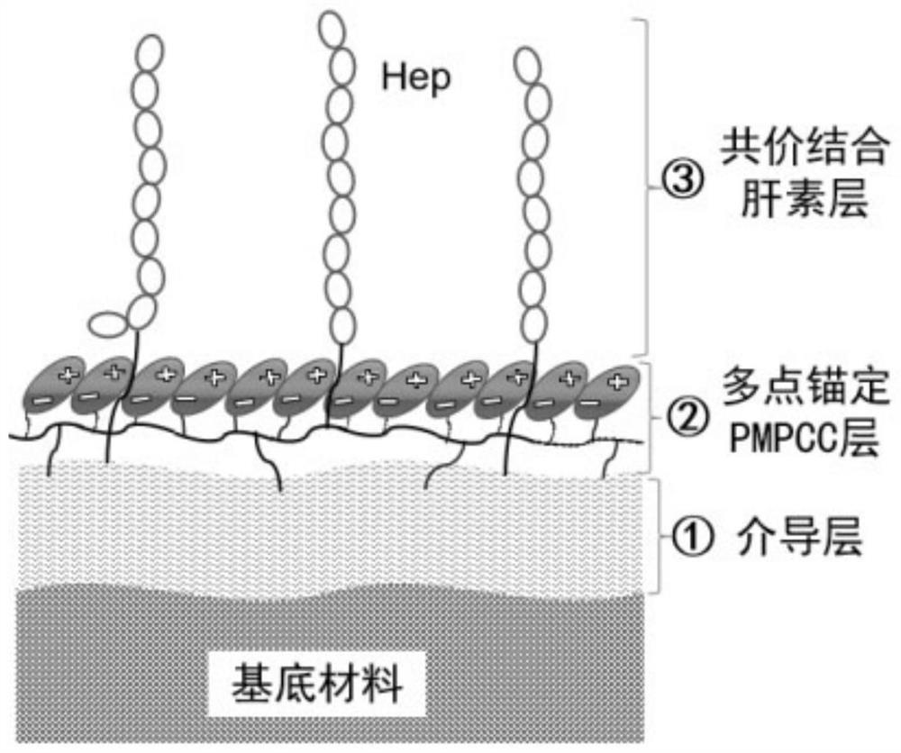 Zwitterionic polymer and heparin composite coating as well as preparation method and application thereof