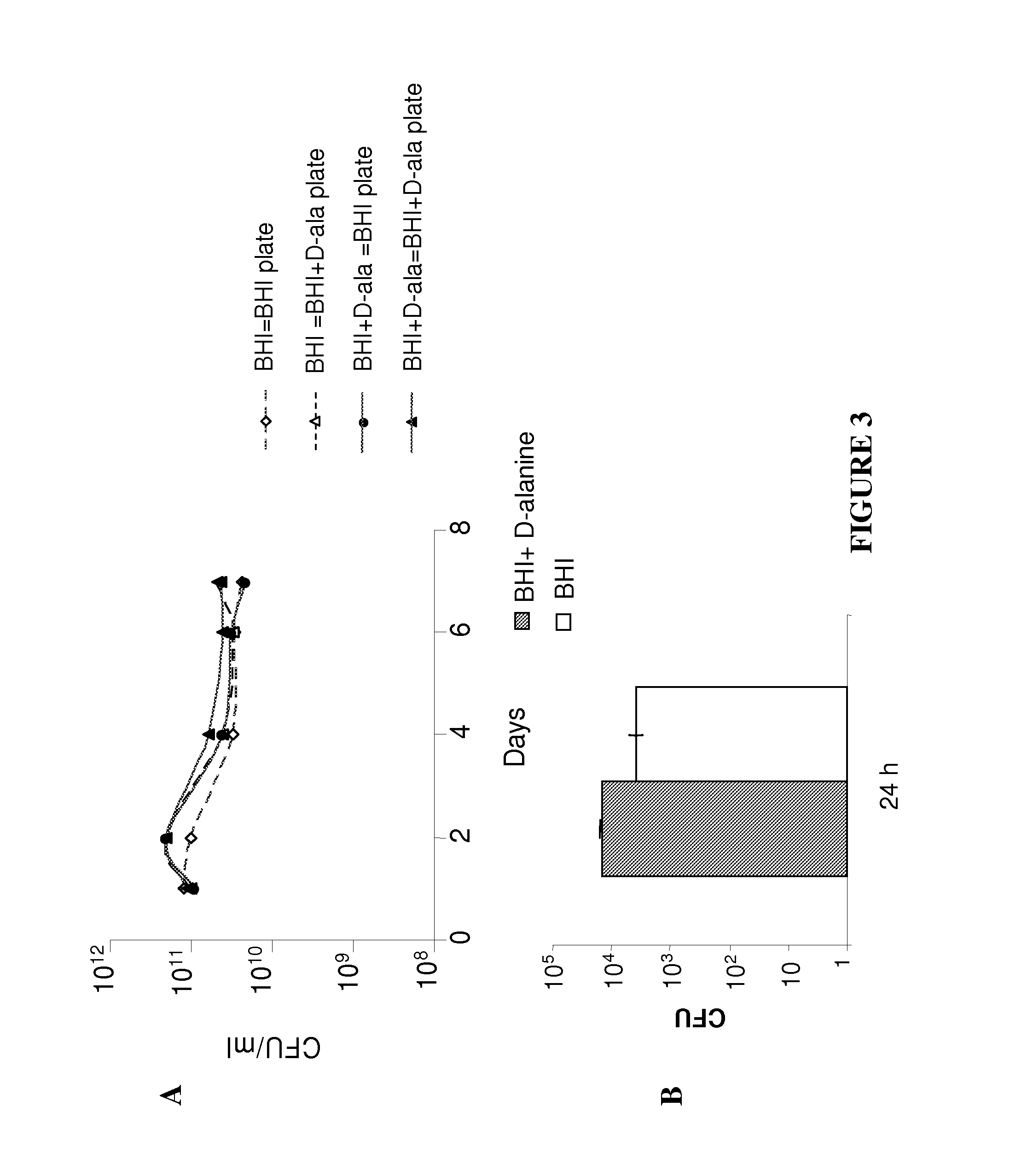 Dual delivery system for heterologous antigens