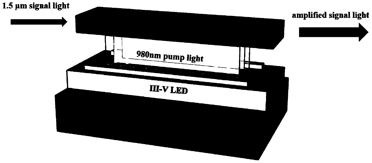 Erbium silicate waveguide amplifier based on on-chip pumping and preparation method thereof