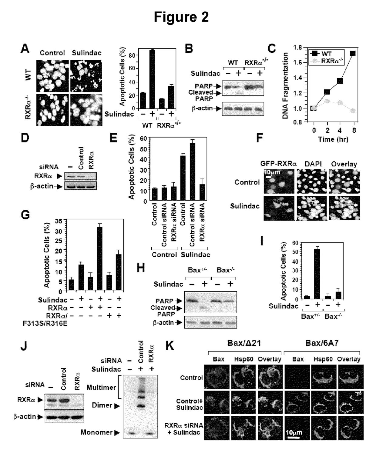 Methods and compositions related to a retinoid receptor-selective pathway