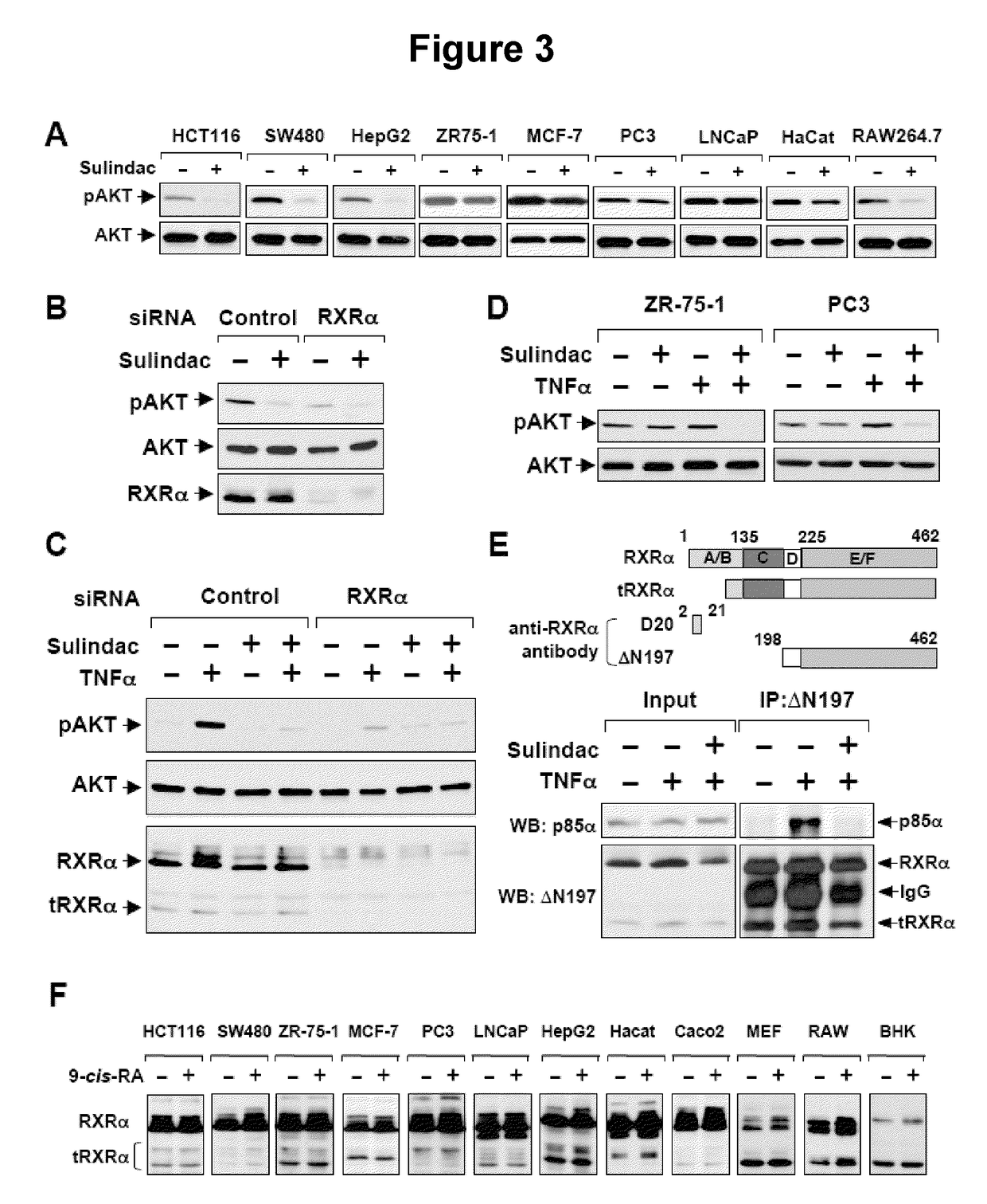 Methods and compositions related to a retinoid receptor-selective pathway