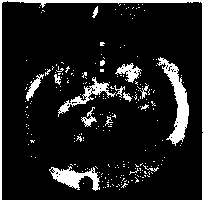 Method for generating somatic embryos of catalpa bungei through induction