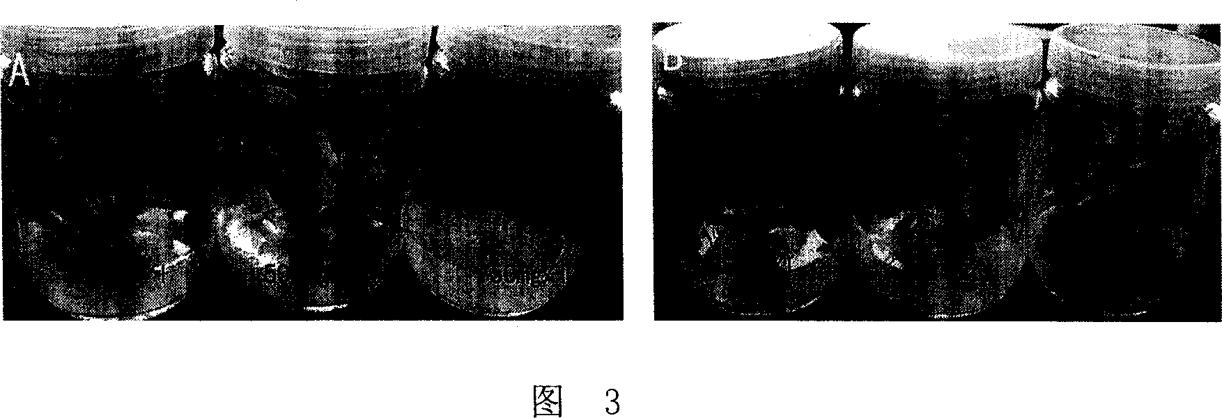 Method and its expression carrier for eliminating environmental pollution from Tr-gene plant gene drift