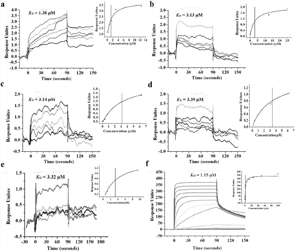 PD-1 targeted polypeptide and application thereof