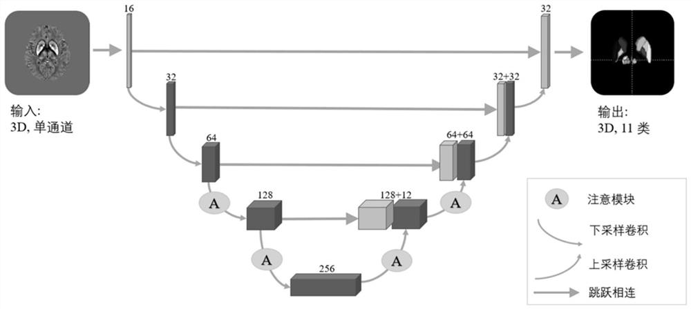 QSM deep brain nucleus automatic segmentation method based on deep learning