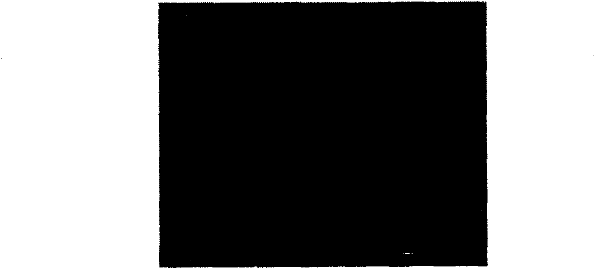 Ultra-hydrophobic polystyrene thin film enhanced by nano silicon dioxide particles and preparation method thereof