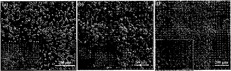 Injectable composite material capable of promoting bone regeneration and repair and preparation method thereof