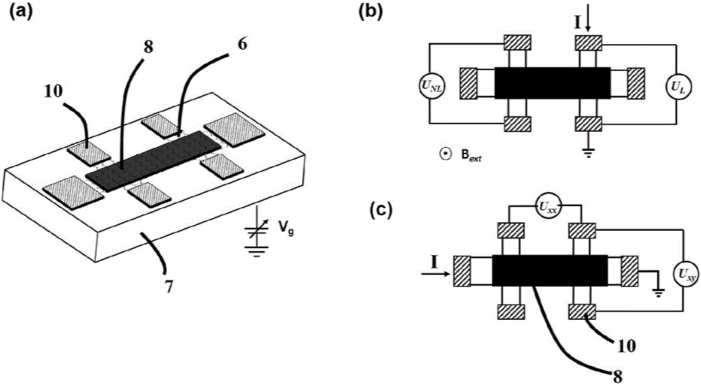 Graphene device capable of realizing spin polarization and preparation method thereof