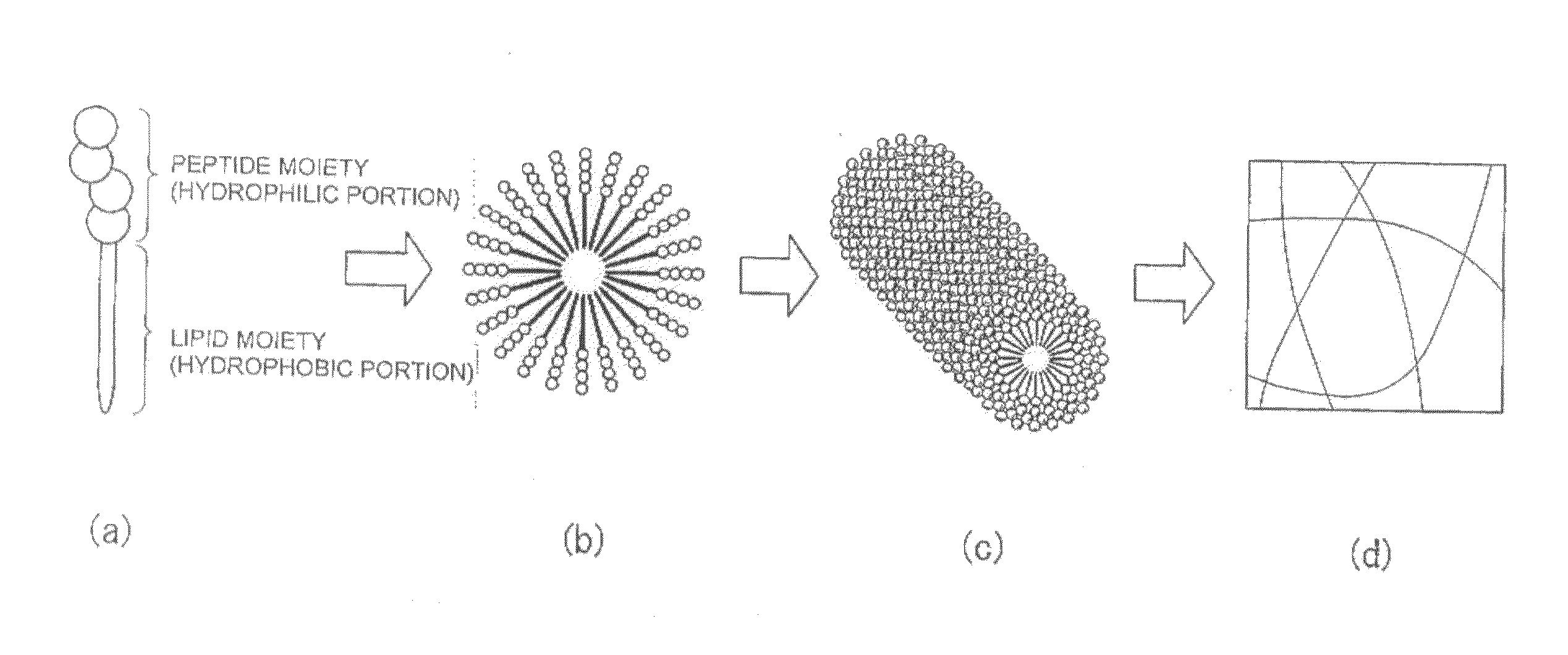 Novel lipid peptide and hydrogel