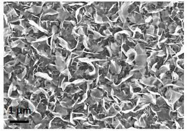 A method for growing rhenium disulfide nanosheets on a silicon substrate without an oxide layer