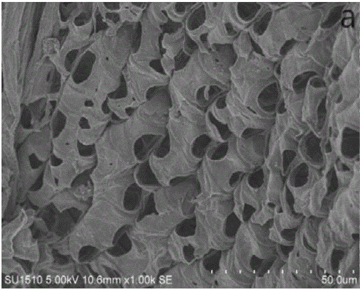 Modified natural plant fiber oil absorbent and preparation and application methods thereof