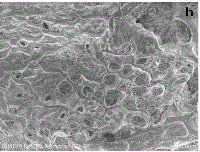 Modified natural plant fiber oil absorbent and preparation and application methods thereof