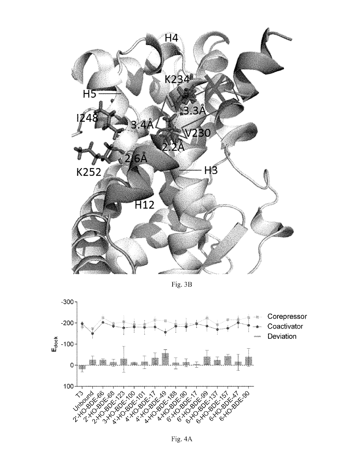 Screening methods for thyroid hormone disruptors based on co-regulator involved simulations