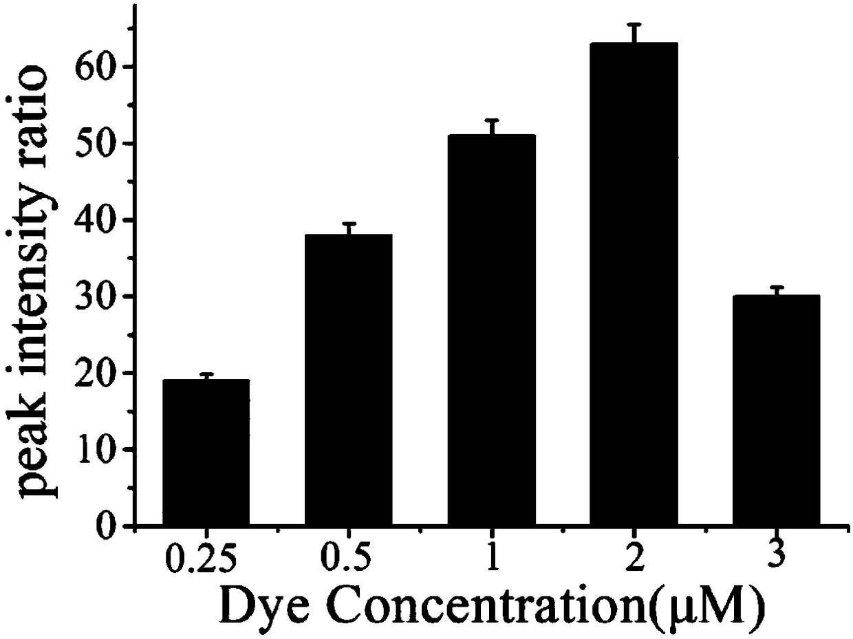 Biosensor for detecting hOGG1 activity and use thereof