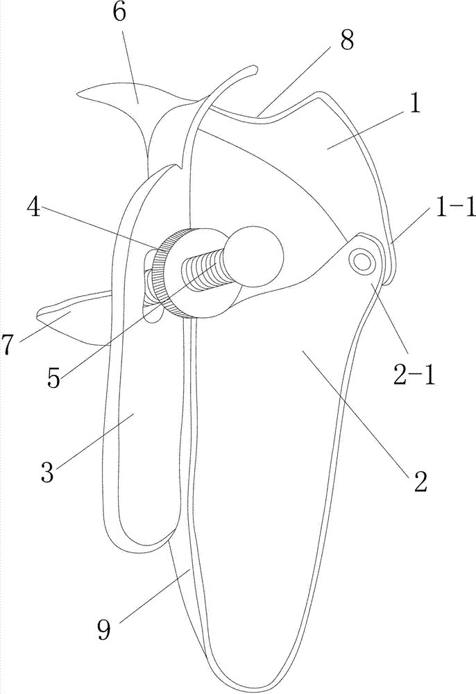 Mammaplasty wound dilator