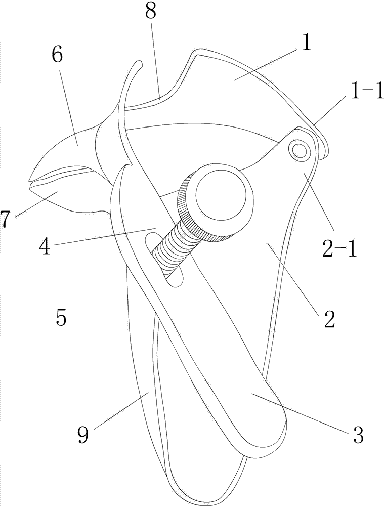 Mammaplasty wound dilator