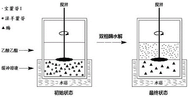 Method for obtaining baohuoside I by double-phase enzyme hydrolysis