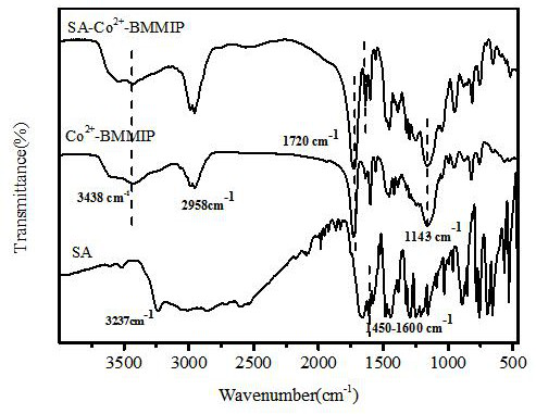 Metal ion coordination bifunctional monomer molecularly imprinted polymer as well as preparation method and application thereof