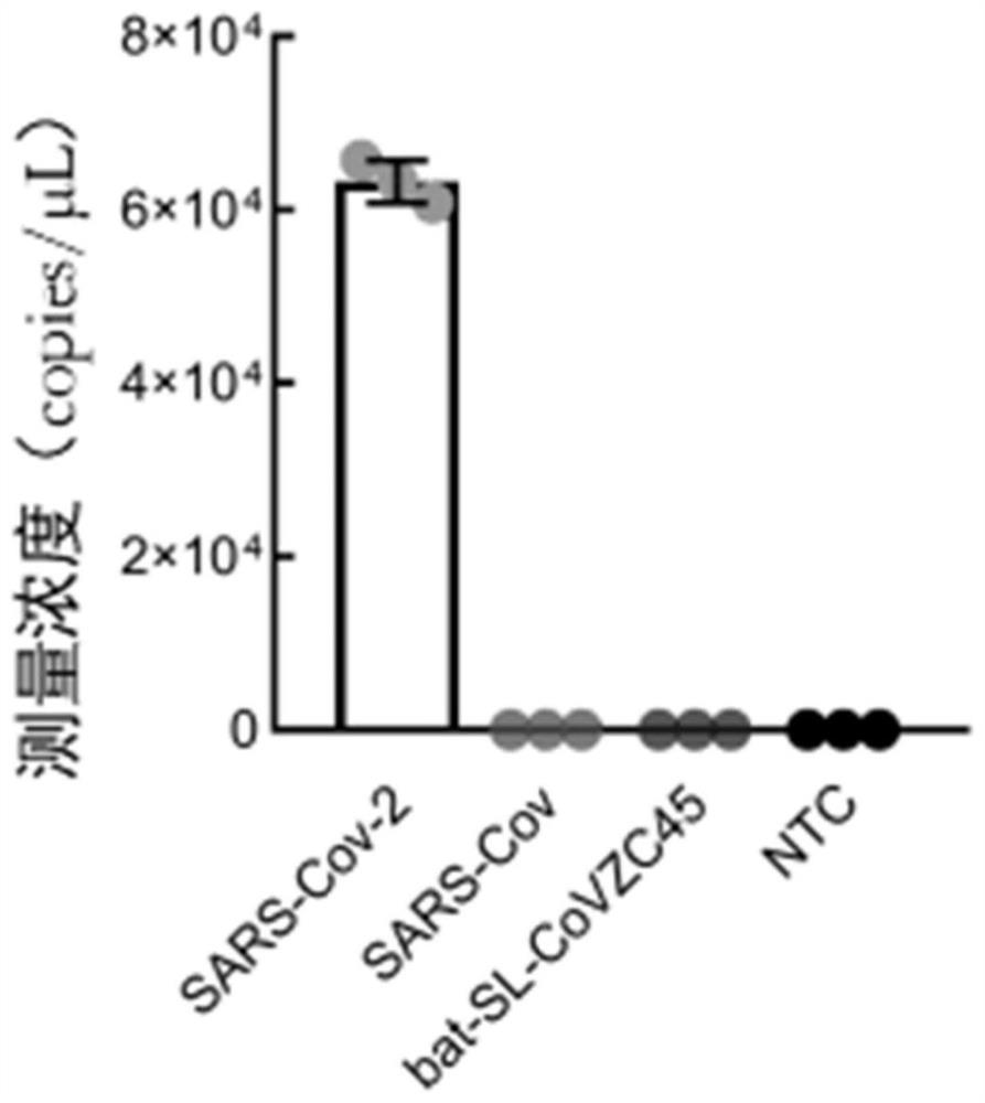 Novel coronavirus nucleic acid quantitative detection kit based on micro-droplet digital analysis