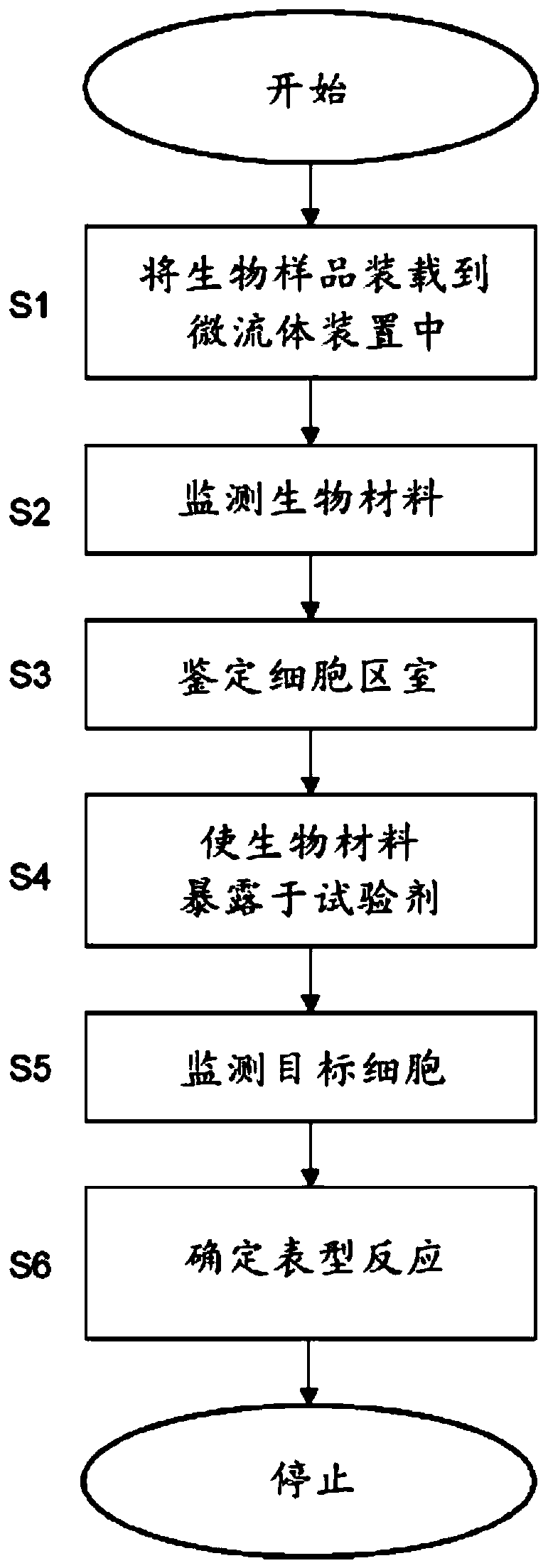 Phenotypic characterization of cells