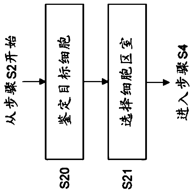 Phenotypic characterization of cells