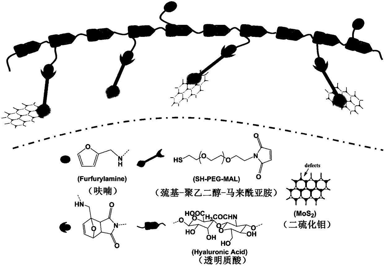 Preparation and application of thermally reversible Diels-Alder reaction based polymer-nanometer molybdenum disulfide sheet composite hydrogel