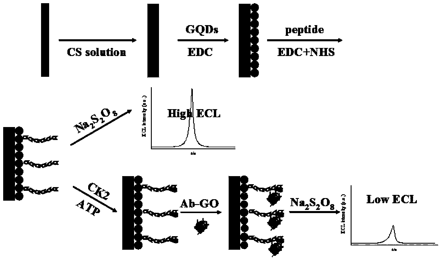 Sensor preparation method based on ECL-RET action between GO and GQDs and application on kinas detection